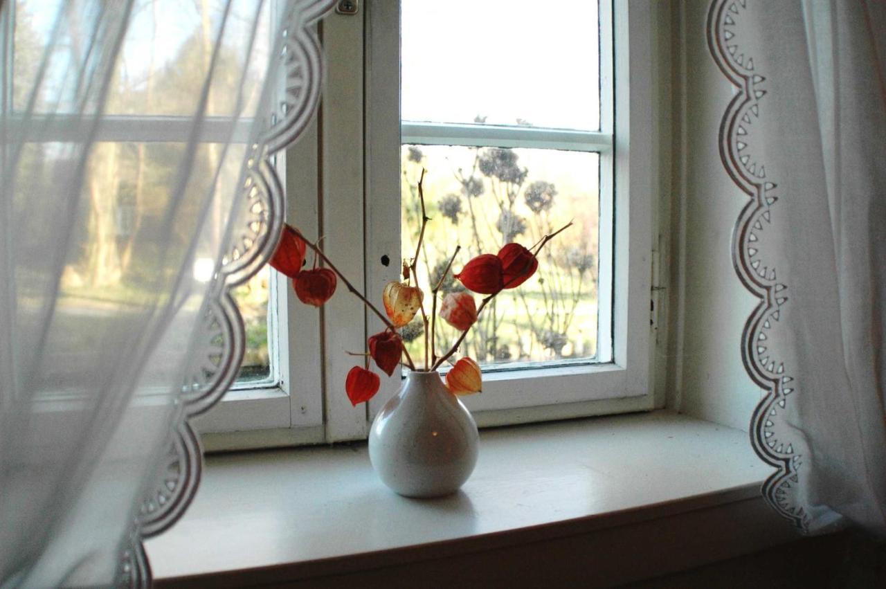 Das Spreewaldhaus Luebbenau Luaran gambar